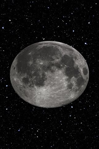 Majestic Moonlit Night ..