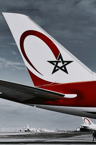 Majestic Tail of a Turkish Airlines Plane ✈️🇹🇷