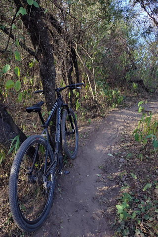 Adventure Awaits 🚴‍♂️🌳