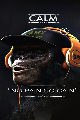 Motivetion Monkey