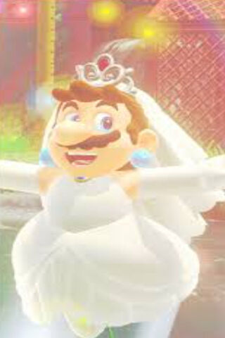 Mario's Magical Wedding..