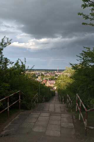 A Scenic Descent into Nature 🌳🌈