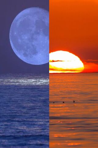 Twilight Wonders: Moonr..