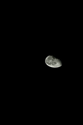 Glowing Moonlight 🌙✨
