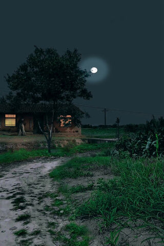 Serene Moonlit Village
