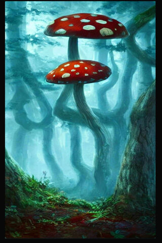 Enchanted Forest Mushrooms 🍄✨