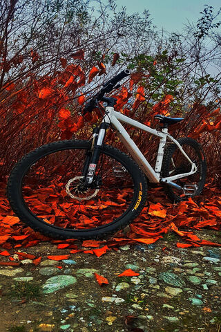 Autumn Adventure 🚴🍂