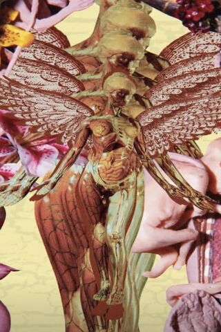Ethereal Anatomy 🌸✨