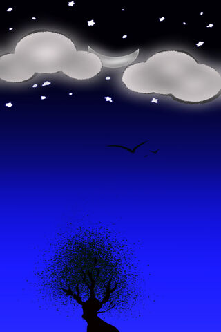 Nighttime Serenity 🌙✨