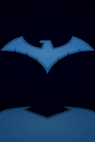 Nightwing's Emblem 🦇✨