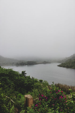 Mystical Mornings by th..