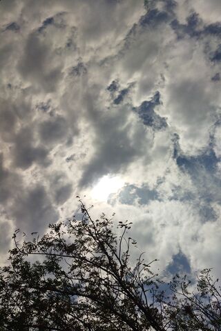 Whispering Clouds ☁️🌞