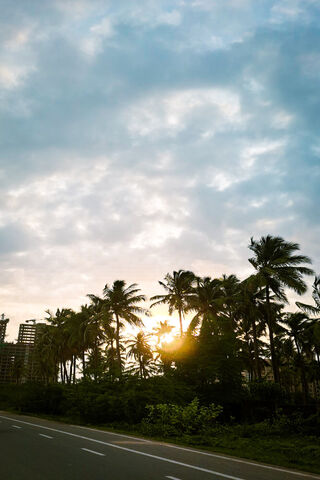 Sunset Serenity 🌅🌴