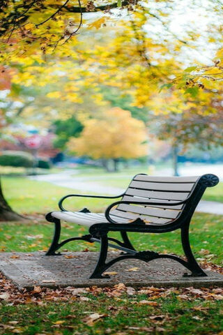 Serene Autumn Bench 🍂🪑