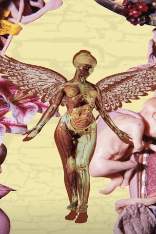 Ethereal Anatomy: A Fus..