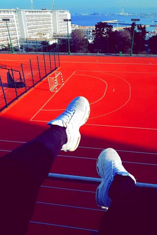 A Chill Day on the Cour..