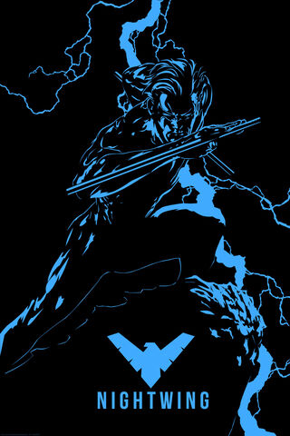 Nightwing in Action ⚡️