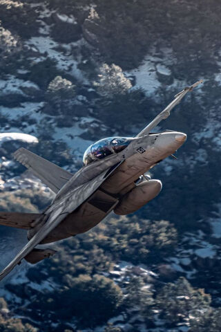 Soaring High: The Power of Flight ✈️