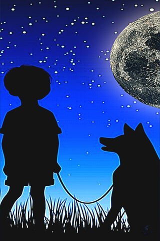 A Magical Night Under the Stars 🌙✨