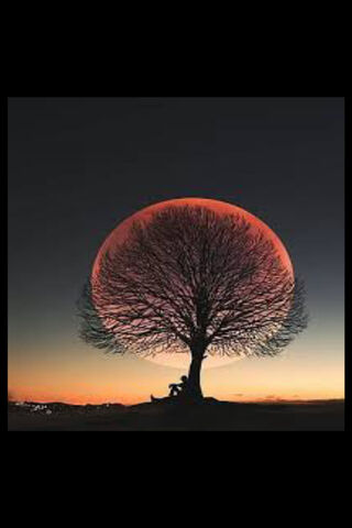 Enchanted Evening Under..