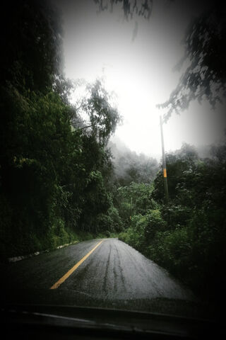Mysterious Rainy Road �..