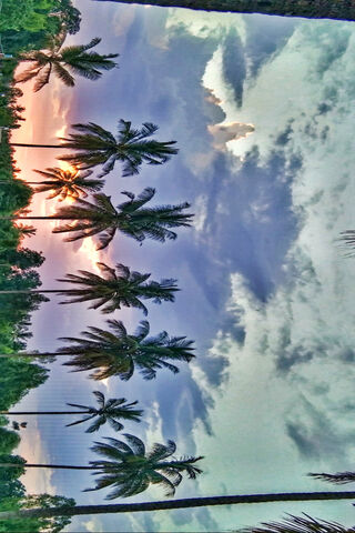 Tropical Sunset Serenit..