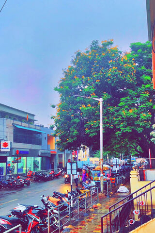 Nature's Embrace: A Rainy Day in the City 🌧️🌳