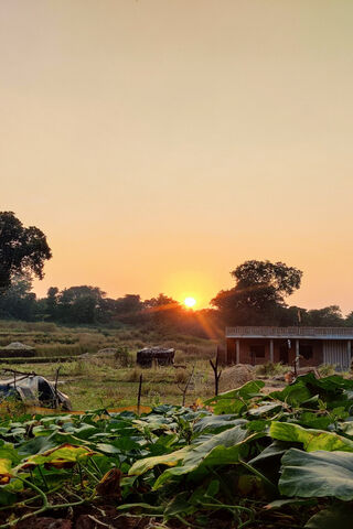 Serene Sunset Over the ..