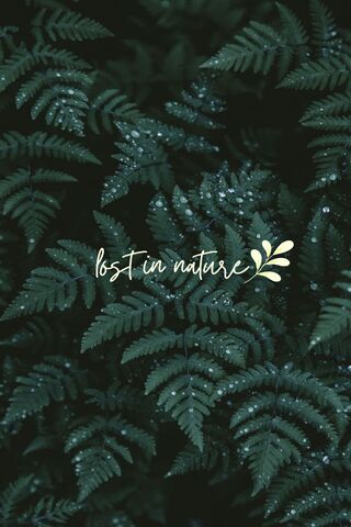 Embracing Nature's Sere..