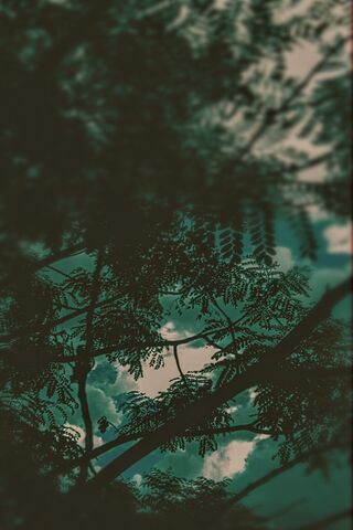 Whispering Leaves 🌿☁️