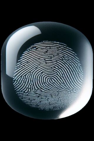 Neon Color Fingerprint