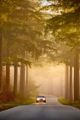Nostalgic Road