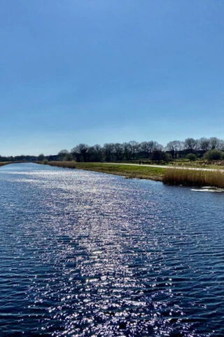 Serene River Reflection..