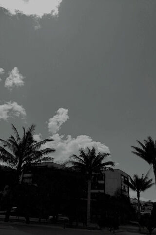 Serene Skies 🌥️🌴