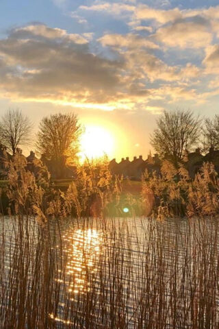 Sunset Serenity 🌅