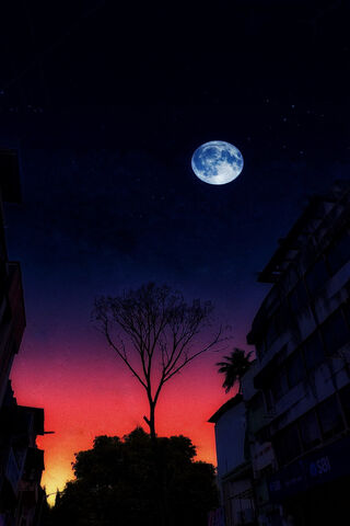 Enchanted Twilight 🌙🌆