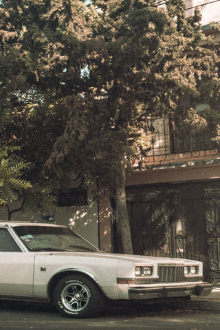 Vintage Vibes 🚗✨