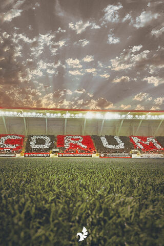 Spectacular Fan Display..