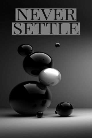 Never Settle: A Bold St..