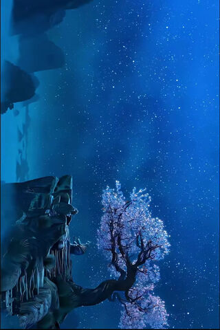 Enchanted Night Sky 🌌🌸