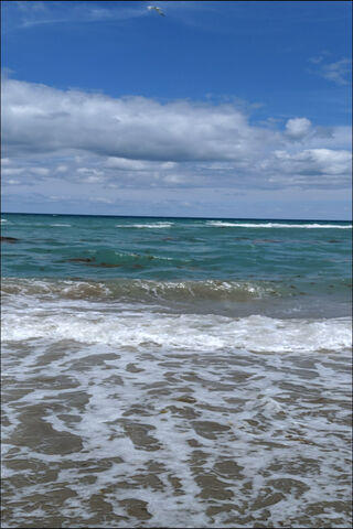Ocean View Scene
