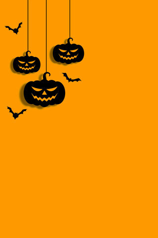 Spooky Citrus Vibes 🍊🎃