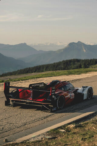 Speed Meets Serenity: The Porsche Race Car