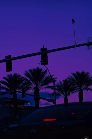 Twilight Vibes 🌆🌴