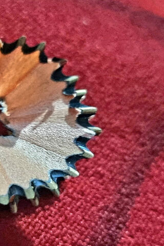 Nature's Art: The Pencil Flower