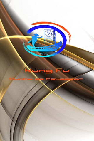 Dynamic Kung Fu Design ..
