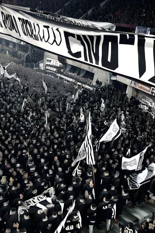 Passionate Fans Unite! ..