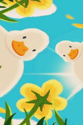 Patos Cute