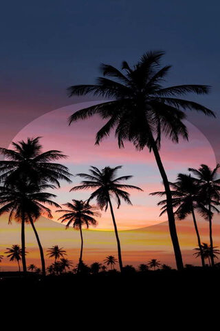 Tropical Sunset Bliss �..