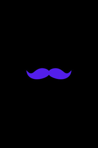 Whimsical Whiskers: The..